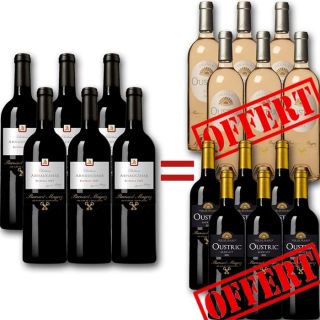 Pack Bernard Magrez 6 bouteilles achetées  12 OFFERTES   6 Château