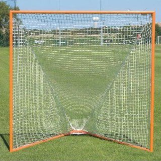 BSN Practice Lacrosse Goal and Net