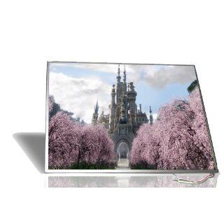 LG Philips 14.5 LP145WH1 TLA1 HD 1366 x 768 Glossy LCD Screen Laptop