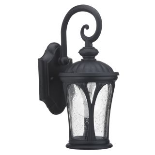 Chloe Black Transitional 1 light Outdoor Wall Light Today: $48.00 Sale