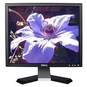 Dell E178FP 17 Flat Panel LCD Monitor: Skinnie Staff