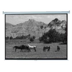 Mustang SC M120D169 Manual Projection Screen