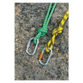 Petzl M33 TL Carabiner, Aluminum, 4 2/7 In, Tri Act Lock