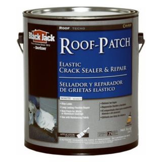 Gardner Gibson 5227 1 20 GAL WHT Roof Patch