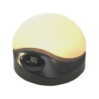 BioBrite Sunrise Clock Advanced Model Charcoal & Mini Tool
