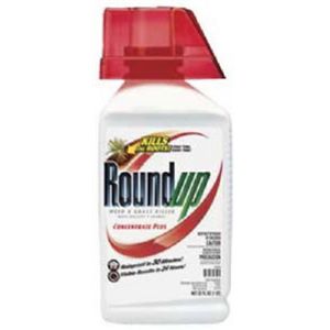 Scotts Ortho Roundup 5100610 36.8OZ Conc Roundup