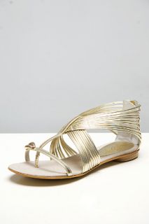 Miss Sixty  Tina Strappy Gold Sandals for women
