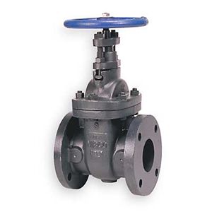 Nibco F619 3 Gate Valve, 3 In Flanged, Cast Iron