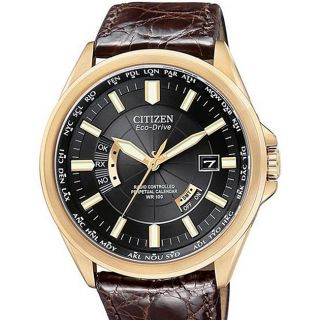 Citizen Mens Eco Drive Leather Strap Watch