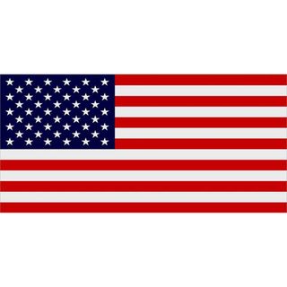 Encore Select United States of America Replica Flag