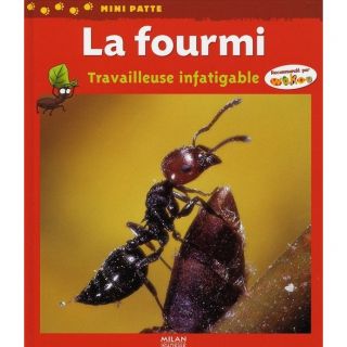 LA FOURMI ; TRAVAILLEUSE INFATIGABLE   Achat / Vente livre Luc Gomel