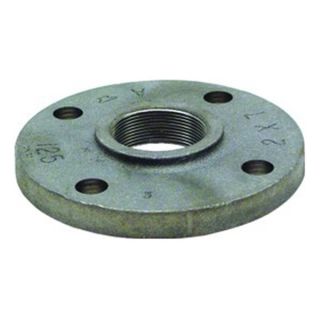 0309002400 1 1/4 NPT Class 125 Galv Malleable Thrd Flat Faced Flange