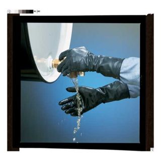 North By Honeywell B174/9 Chemical Resistant Glove, 17 mil, Sz 9, PR